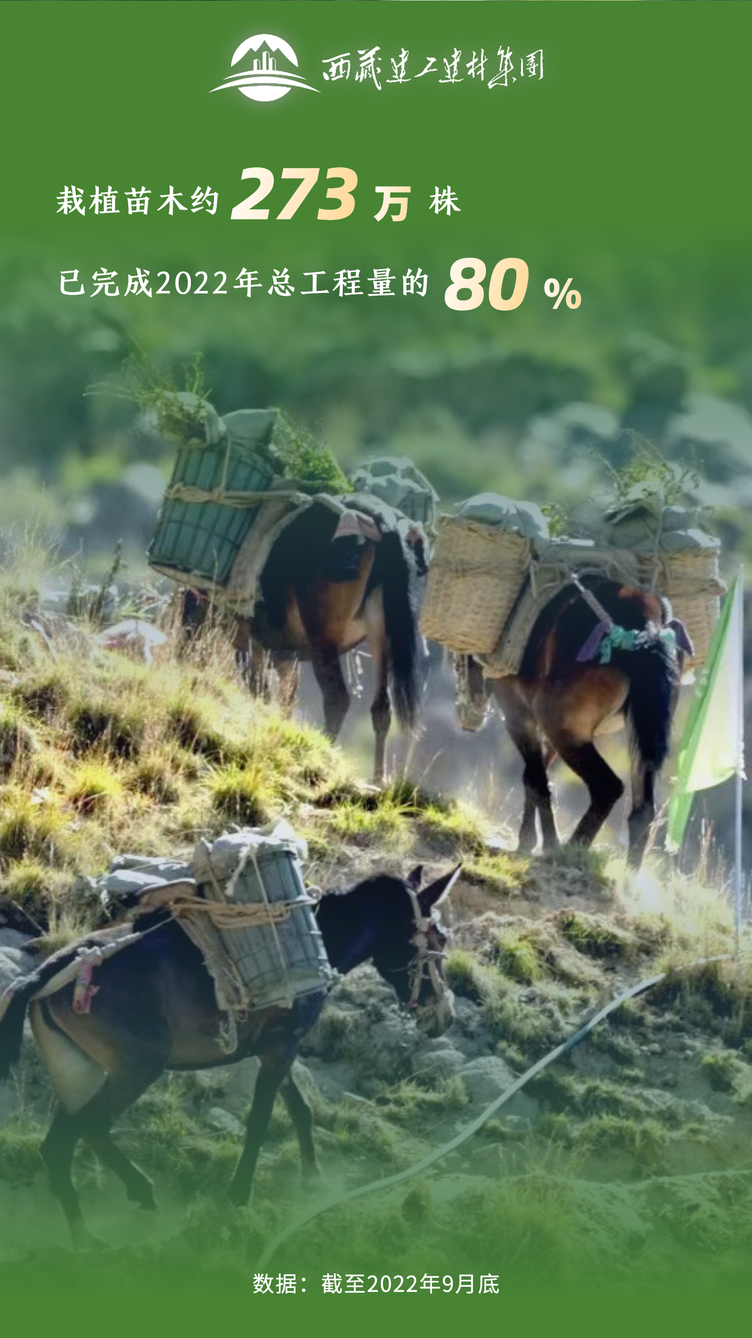 Bwin·必赢亚洲(中国区)官方网站-Officials Website